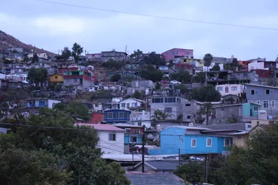 DSC_0945 (Large).JPG